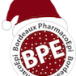 Logo BPE
